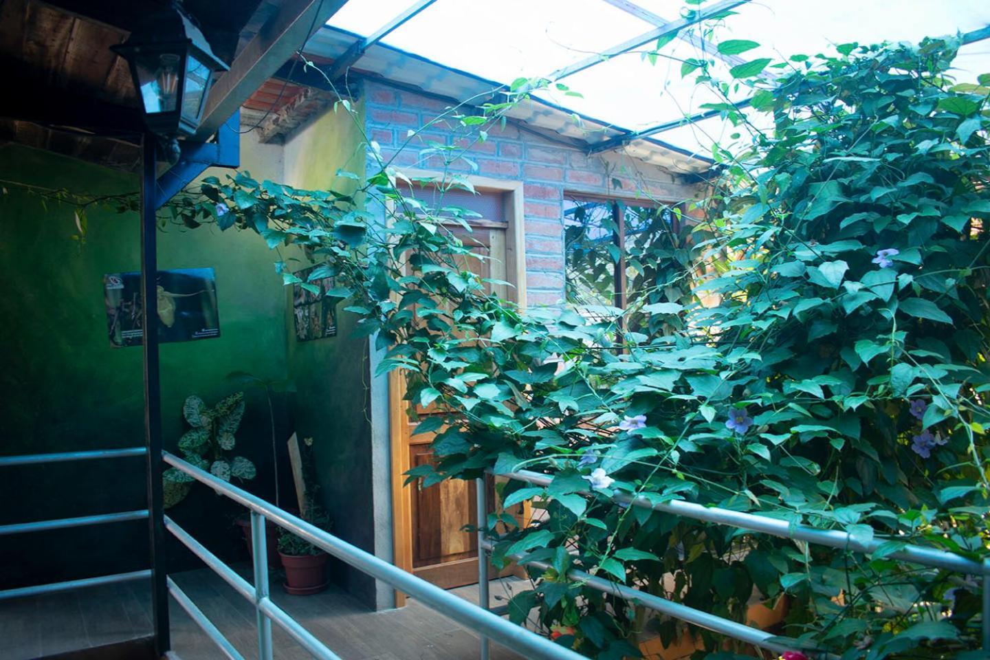 מינדו Hostal Los Farolitos מראה חיצוני תמונה