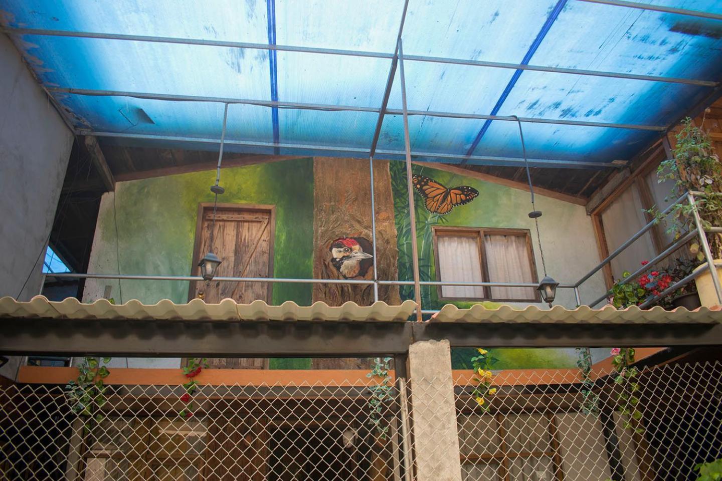 מינדו Hostal Los Farolitos מראה חיצוני תמונה